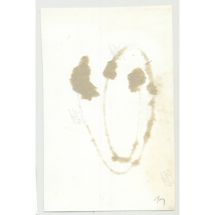 Close Up Of Tied Female Slave / Eyes - BDSM (Vintage Amateur Photo B/W 60s)