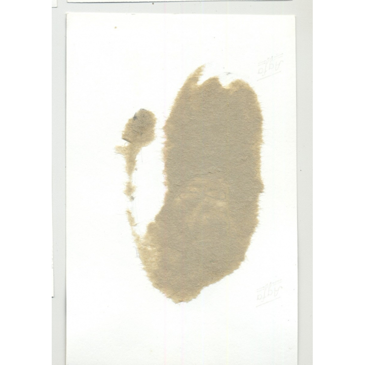 Female Slave In Chains Tries To Eat / Eyes - Tiny Boobs (Vintage Amateur Photo B/W 60s)