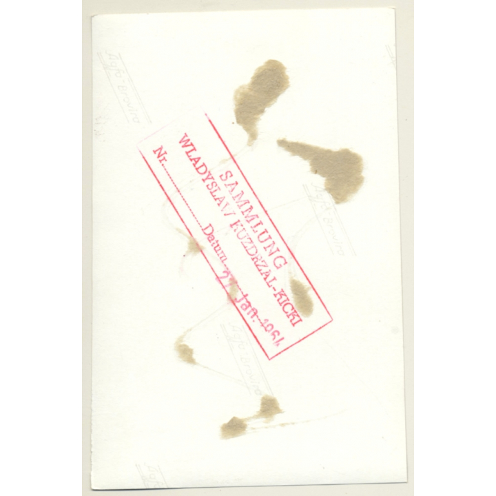 Busty Darkhaired Semi Nude Maid In Bondage / BDSM (Vintage Photo 1964)