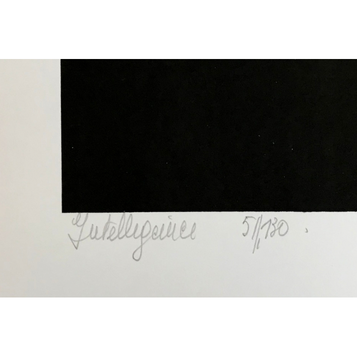 Intelligence - Lim.Ed. 51/130 (Vintage Lithography ~1970s)