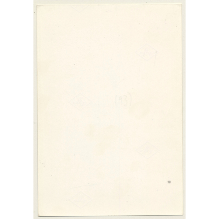 Lascivious Brunette Woman In Bikini / Pin-up (Vintage Photo GDR ~1980s)