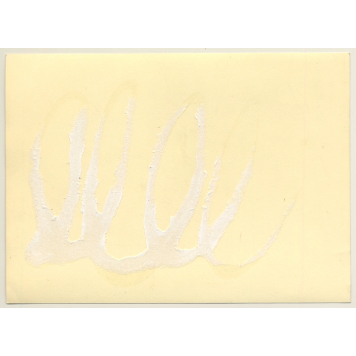 May 1968 - Paris: Protest Posters On Facade*1 (Vintage Photo)