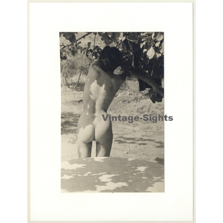 R.Folco: Rear View On Natural Nude Under Tree (Vintage Photo France 1960s)
