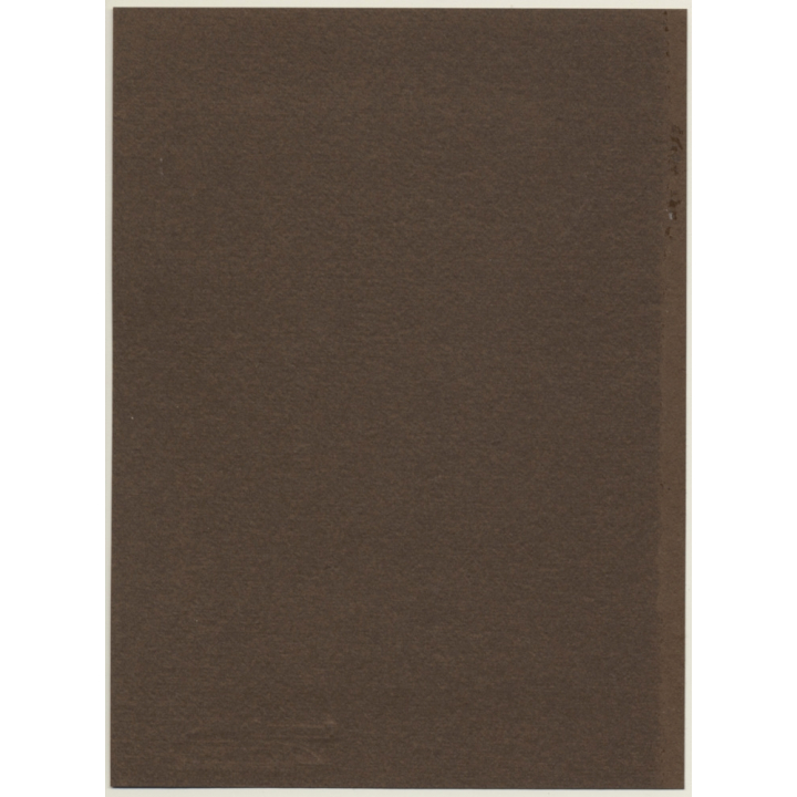 Shorthaired Woman In White Dress / Hand Bag - Fox Stola (Vintage Photo ~1910s)