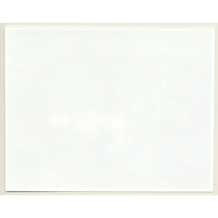 Irving Klaw: Mistress Ties Pretty Maid 9537 / Pin-up - BDSM (Vintage Photo USA)