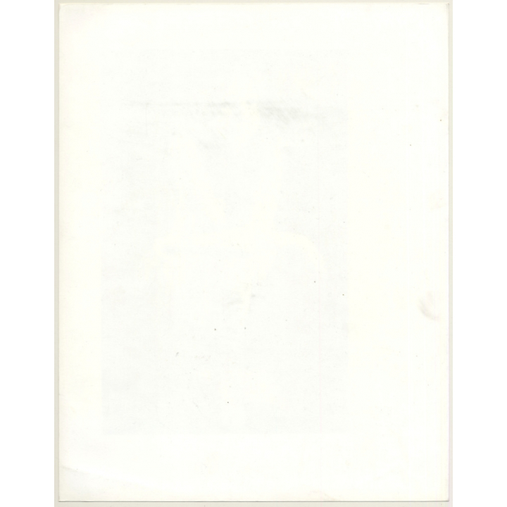 Jerri Bram (1942): Natural Brunette Woman In Negligee (Vintage Photo ~1970s)