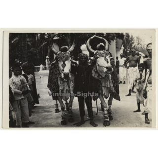 India: Gopastami Festival - Decorated Cows / Ethnic (Vintage RPPC)