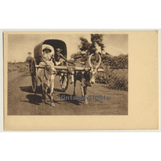 India: Mission Sister On Travel / Cow Cart (Vintage PC)