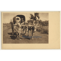 India: Mission Sister On Travel / Cow Cart (Vintage PC)