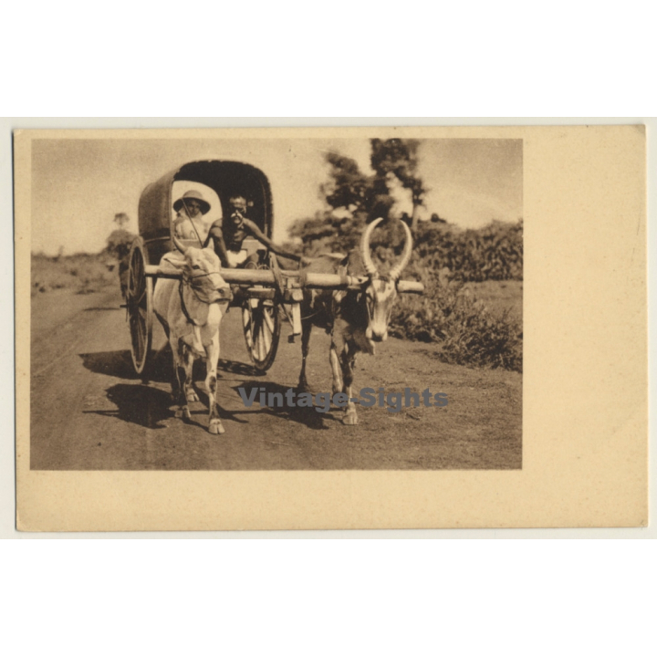 India: Mission Sister On Travel / Cow Cart (Vintage PC)