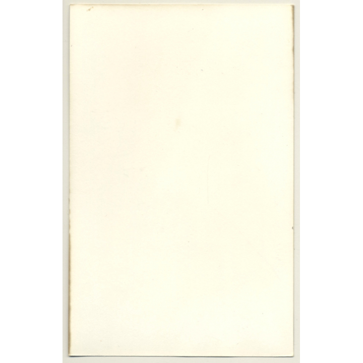 Natural Brunette Nude On Chair / Thighs (Vintage Photo GDR ~1980s)