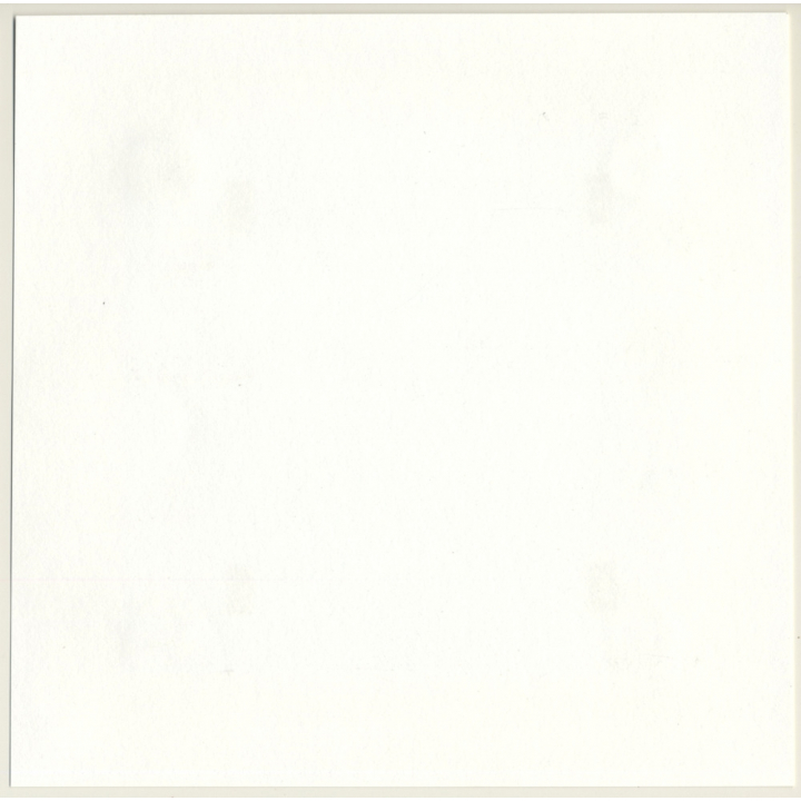 R.Folco: Natural Nude Relaxing In The Sun / Shadows (Vintage Photo France 1970s)