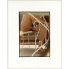 R.Folco: Under Table Peek Of Semi Nude Female / Upskirt (Vintage Photo France 1980s)