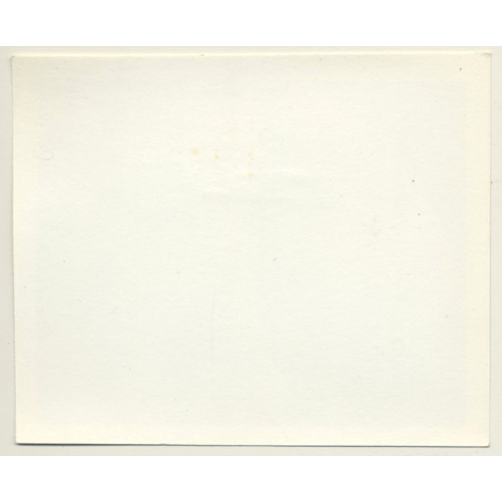 Close-up Of Womans' Big Boobs / Risqué (Vintage Photo ~1960s/1970s)