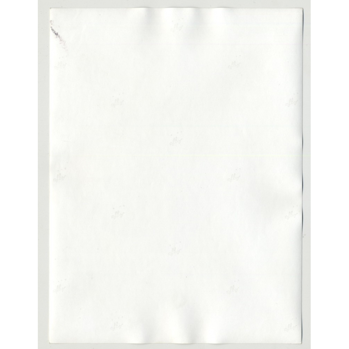 Topless 60s Beauty In Hot Lingerie / Perfect Breast - Stockings (Vintage Amateur Photo 60s/70s L)