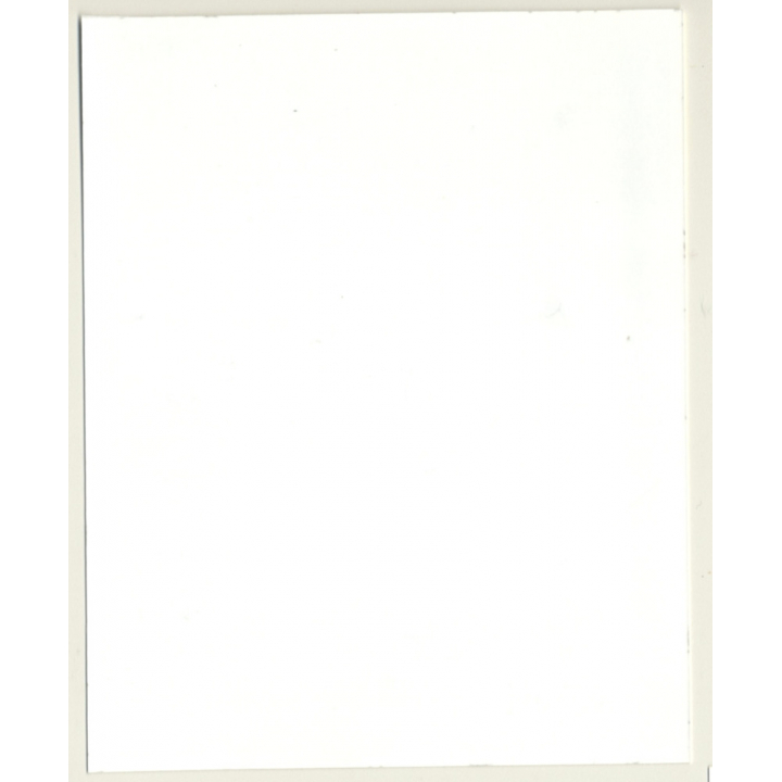 Irving Klaw: Semi Nude Maid W. Big Butt BA.P.-80 / Pin-up - BDSM (Vintage Photo USA)