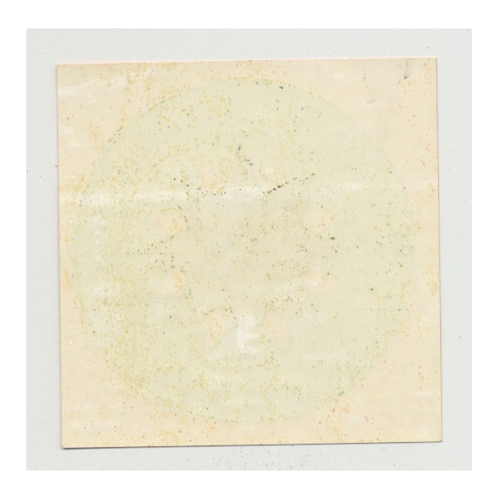 Hotel Aranycsillag - Dunaujvaros / Hungary (Vintage Luggage Label)