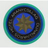 Hotel Aranycsillag 2 - Dunaujvaros / Hungary (Vintage Luggage Label)