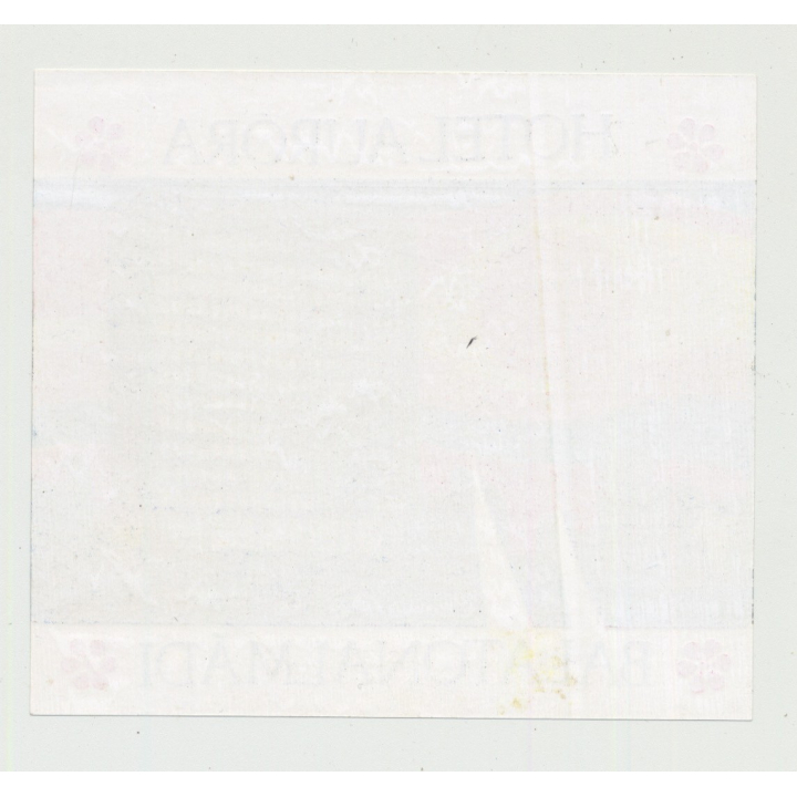 Hotel Aurora / Balatonalmadi / Hungary (Vintage Luggage Label)