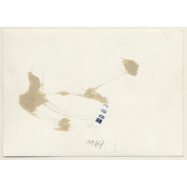 Japanese Female Bondage Collage / BDSM (2nd Gen. Photo ~1960s)