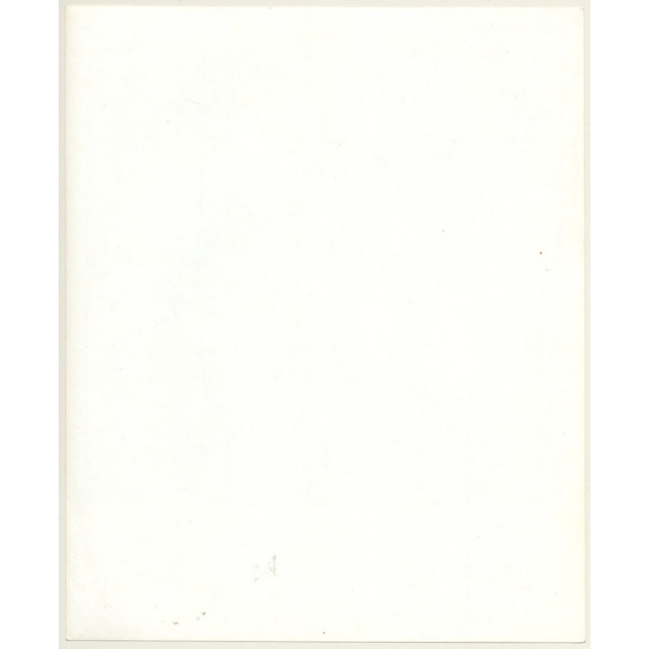 Nitty Gritty Dirt Band - United Artists (Vintage Press Photo 1970s)