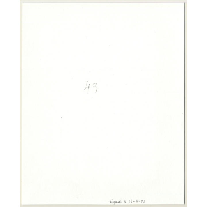 R.Folco: Smoking Woman With Glass / Transparent Bra (Vintage Photo France 1980s)