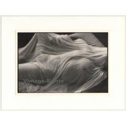R.Folco: Nude Woman Covered By Silk Scarf (Vintage Photo France 1970s)
