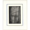 R.Folco: Shadow Reflections On Nude Womans' Butt (Vintage Photo France 1970s)