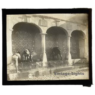 Maghreb / Africa: Indigenous At Fountain - Mosaic Tiles (Vintage Glass Dia Positive 1910s)