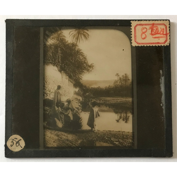 Maghreb / Africa: Nomads At Oasis / Palm Trees (Vintage Glass Dia Positive 1910s)
