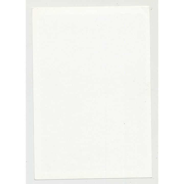 Stunning Mature Nude In Translucent Lingerie / Waist - Hips (Vintage Amateur Photo B/W)