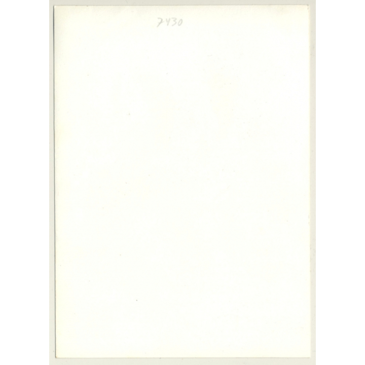 2 Slim Nudes On Couch / Small Boobs - Hairy Armpits (Vintage Photo GDR ~1980s)