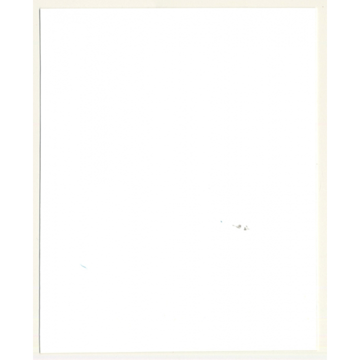 Irving Klaw: Mistress Spanking Maid In Fetish Lingerie 9598 / Pin-up - BDSM (Vintage Photo USA)