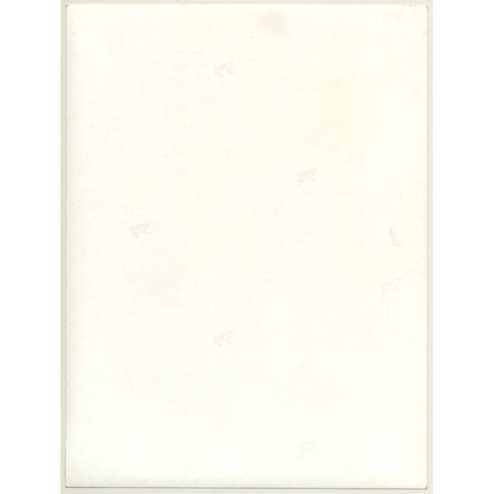 Jerri Bram (1942): Beautiful Pensive Brunette At Iron Gate (Vintage Photo ~1970s)