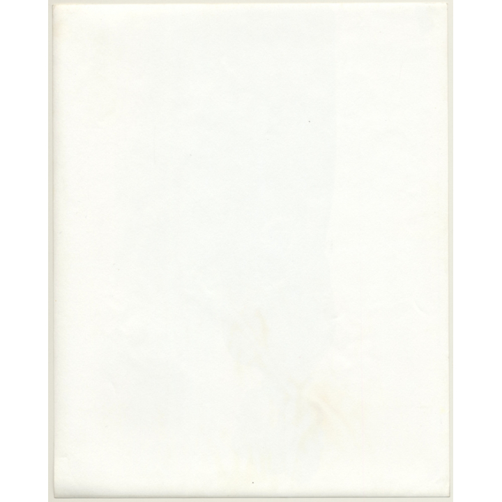 Jerri Bram (1942): Pretty Young Brunette Woman In Dress / Hairstyle (Vintage Photo ~1970s)