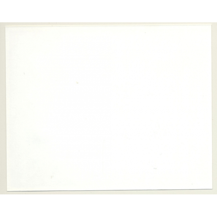 Irving Klaw: Maid - Arm Restraint - Face Mask 9540 / Pin-Up - BDSM (Vintage Photo USA)