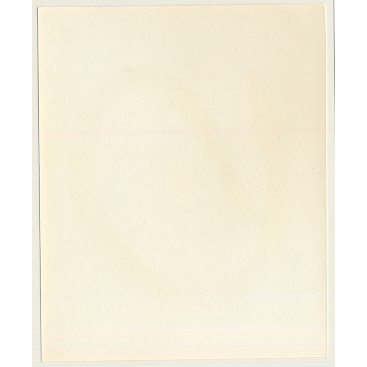 Irving Klaw: Pin-up Model Pepper - 20 / Whip BDSM (Vintage Photo USA)