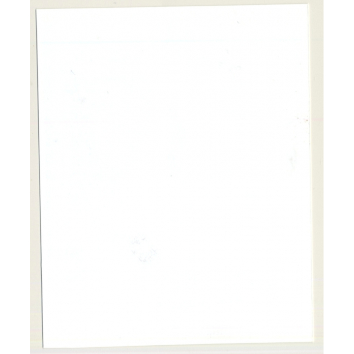 Irving Klaw: Pin-up Model D.Christie - 68 / Whip - BDSM (Vintage Photo USA)