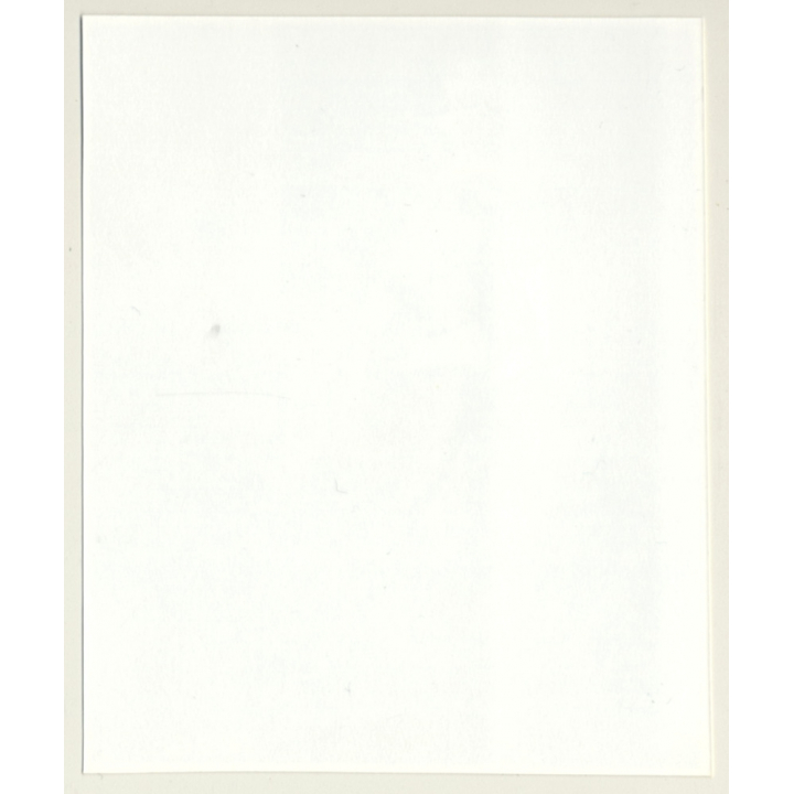 Irving Klaw: Bettie Page Teases Camera Q-260 / Pin-up - BDSM (Vintage Photo USA)