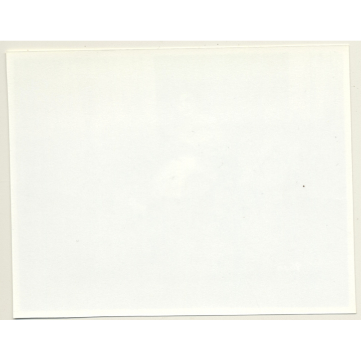 Irving Klaw: Brunette Spanking Blonde Maid - Gloves 8606 / Pin-up - BDSM (Vintage Photo USA)