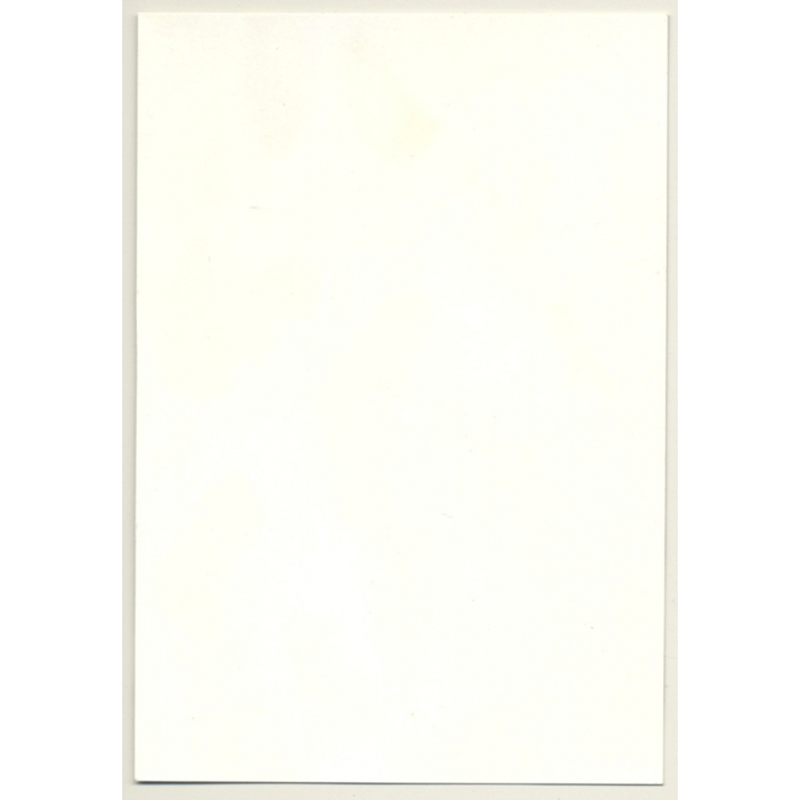 Slim Natural Nude Curlyhead / Hairy Armpits - Boobs (Vintage Photo GDR ~1970s/1980s)