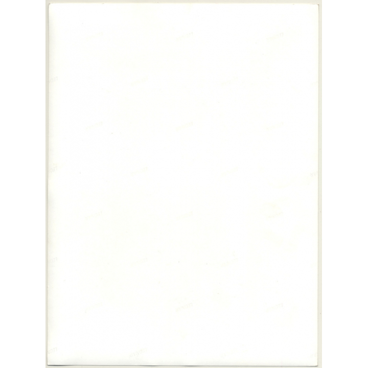 Intense Shot Of Natural Smoking Brunette Nude / Eyes (Vintage Photo ~1960s/1970s)