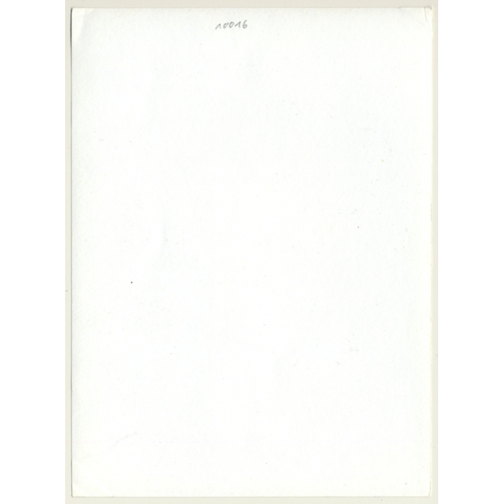 Natural Kneeling Brunette Nude Curlyhead / Small Boobs (Vintage Photo GDR ~1970s)