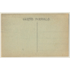 S.S. Valdivia In Storm / Steamer (Vintage PC)