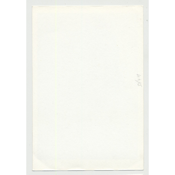 Funny Chubby Blonde Pinup In Fishnets / Small Boobs - Lingerie (Vintage Amateur Photo 60s B/W)