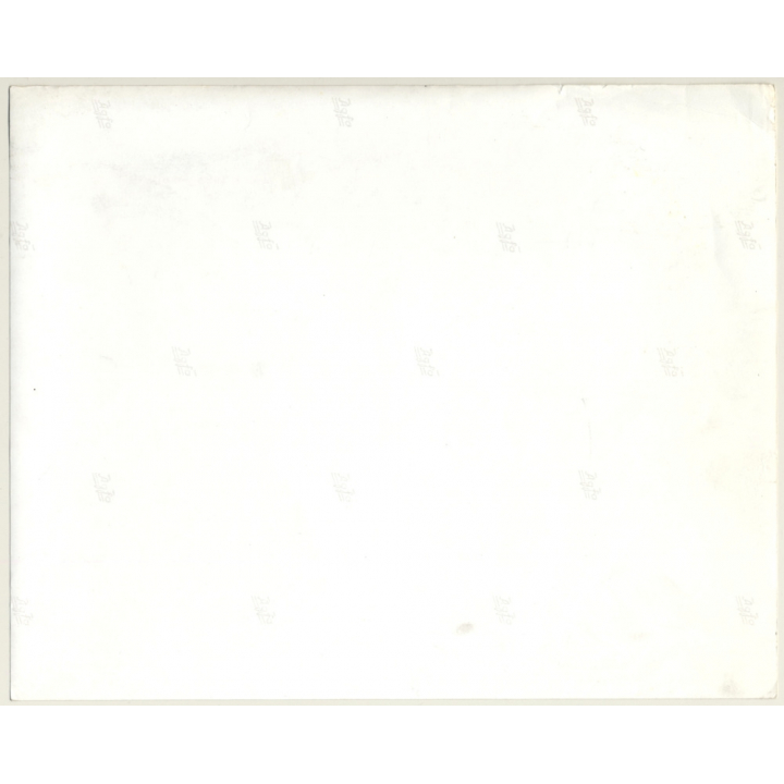 Jerri Bram (1942): Portrait Of Melancholic Female W. Turtle On Head (Vintage Photo ~1970s)