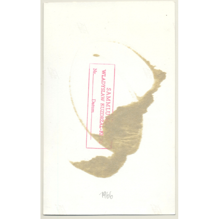 Mistress & Semi Nude Maid In Bondage / Boobs - BDSM (2nd Gen.Photo ~1960s)