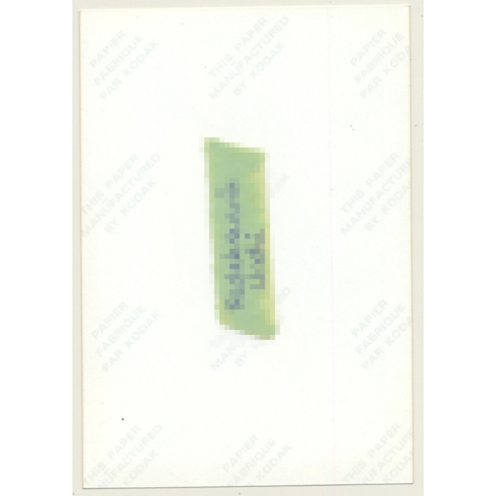 Slim Brunette Nude With Silver Scarf / Eyes (Vintage Photo Germany ~1980s)