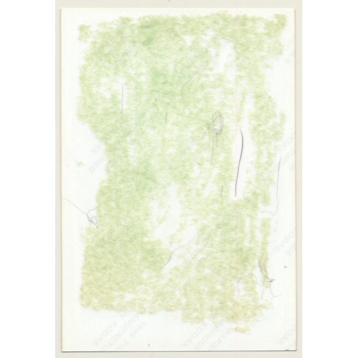 Slim Brunette Nude With Silver Scarf / Boobs (Vintage Photo Germany ~1980s)