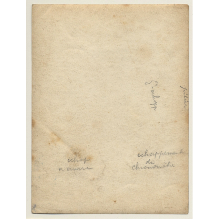 Horlogerie Uurwerkmakerij Watchmaker Sales Counter (Vintage Photo ~1900s/1910s)